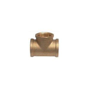 teu-bronz1.jpg